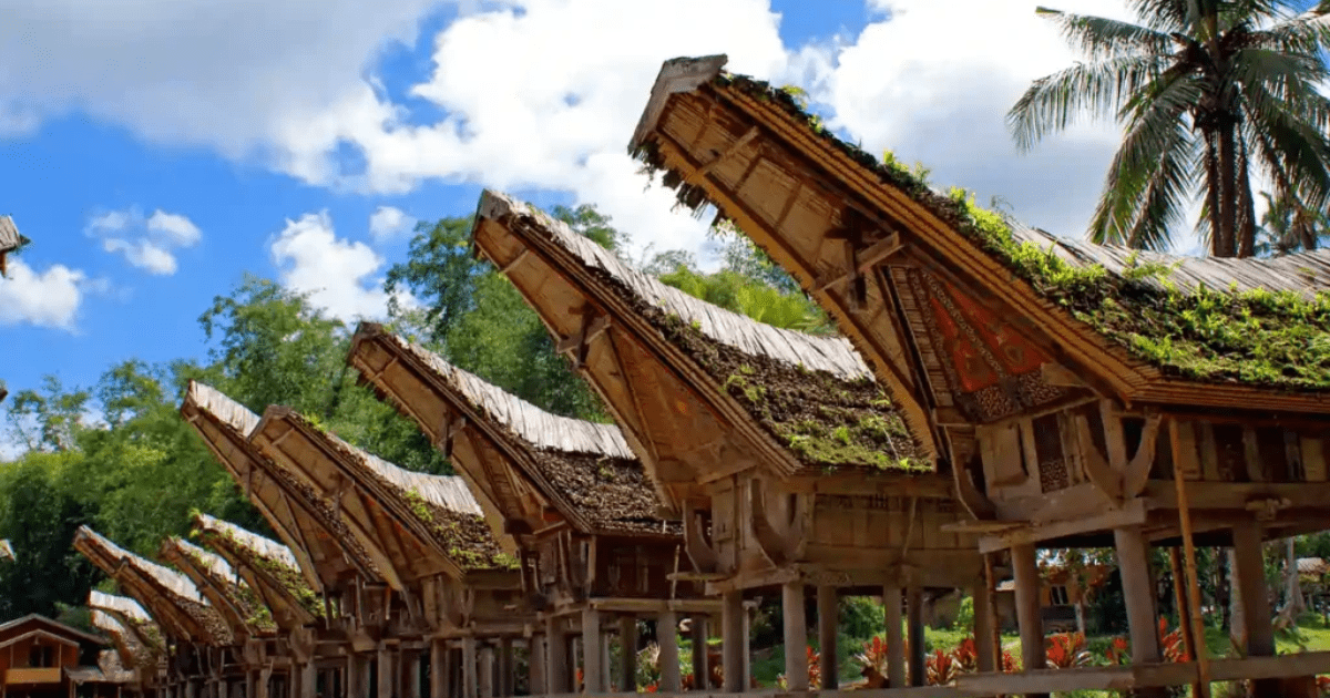 Wisata Budaya Toraja: Tari dan Tongkonan Menarik Dunia
