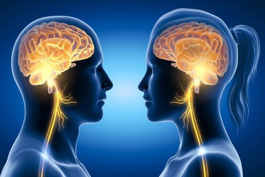 Otak Pria Menyusut Lebih Cepat: Fakta Unik Penuaan Otak