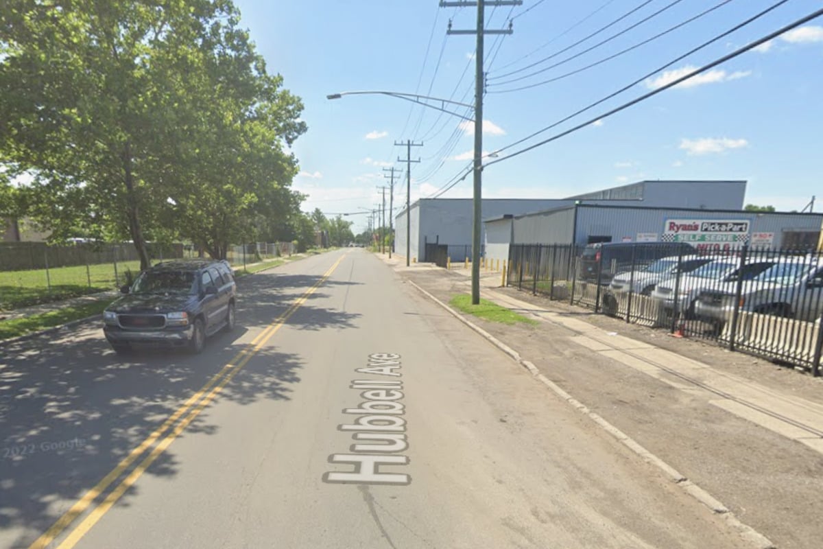 Detik-detik Pencarian Anjing di Detroit yang Menghebohkan