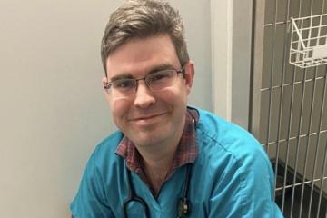 Mengatasi Masalah Kegemukan pada Hewan Peliharaan