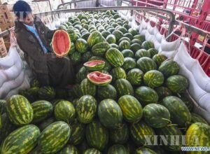 Memahami Psikologi Manusia Unik Sehari-hari