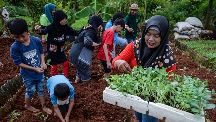 Serunya Berkebun di Klub Anak Tanam Bibit