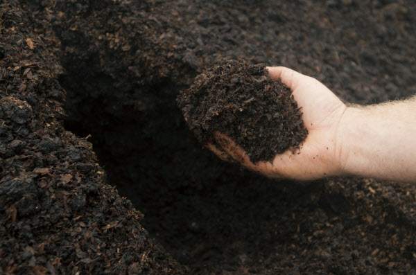 Langkah Awal Menuju Tanah Kebun yang Sehat