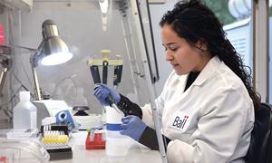 Karier Menjanjikan di Bidang Hortikultura