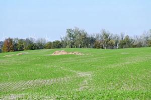 Workshop Penyakit Tanaman dan Cover Crop di Ames