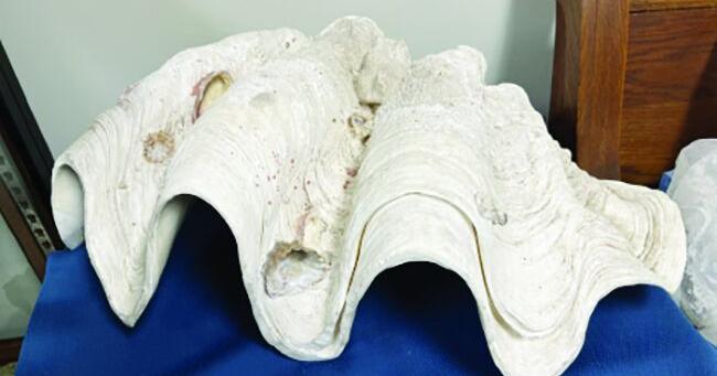 Menyambut Hari Pembukaan Wilder Memorial Museum