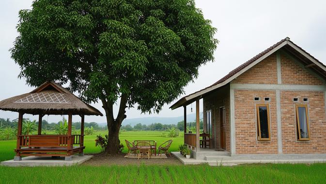 Keasrian Rumah Desa dengan Area Santai di Bawah Mangga