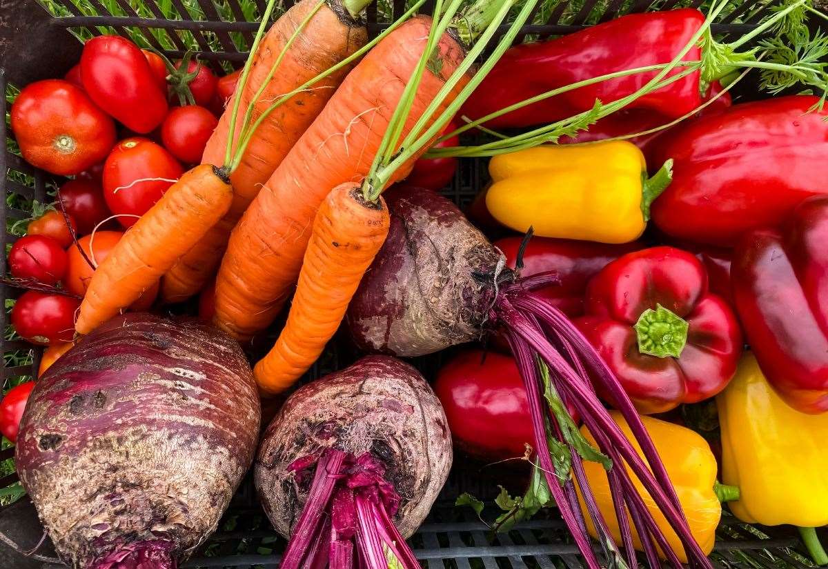 Makanan Sehat Lokal: Inisiatif Scottish Greens
